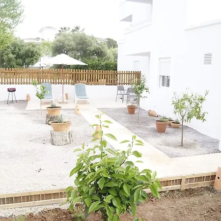 Sureda * Canyamel (Mallorca)
